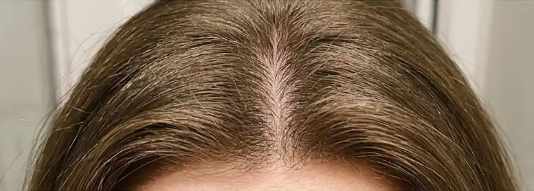Weeks 6-8 progress